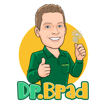 Turf Talk with Dr. Brad - Putting Your Lawn to Bed for Winter